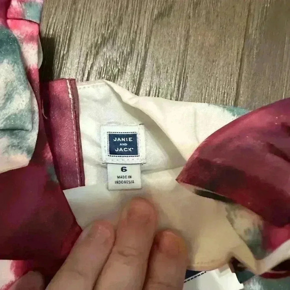 Janie & Jack Floral Organza Top - Size 6 Christmas Sleeveless Dressy Little Girl - Picture 4 of 6